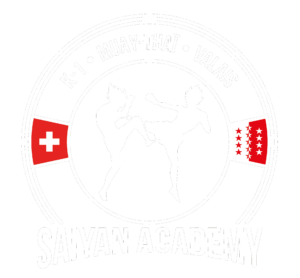 saiyan academy noir v1